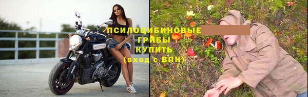 PSILOCYBIN Ступино
