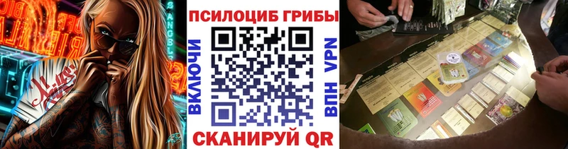 что такое Ильский Галлюциногенные грибы Psilocybine cubensis